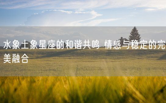 水象土象星座的和谐共鸣 情感与稳定的完美融合(图1)