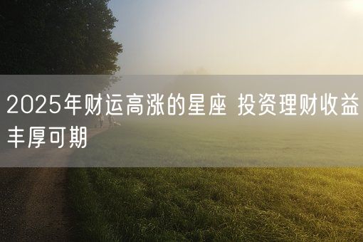 2025年财运高涨的星座 投资理财收益丰厚可期(图1)