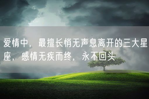 爱情中，最擅长悄无声息离开的三大星座，感情无疾而终，永不回头(图1)