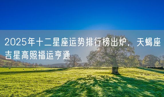 2025年十二星座运势排行榜出炉，天蝎座吉星高照福运亨通(图1)