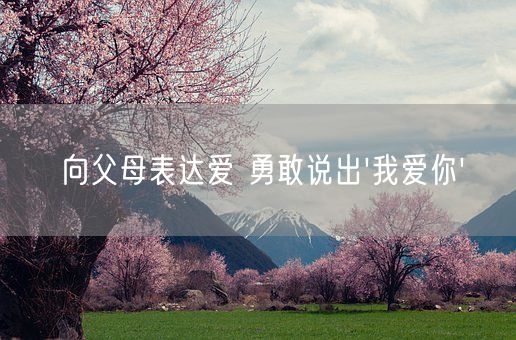 向父母表达爱 勇敢说出我爱你(图1)