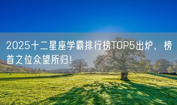 2025十二星座学霸排行榜TOP5出炉，榜首之位众望所归！(图1)