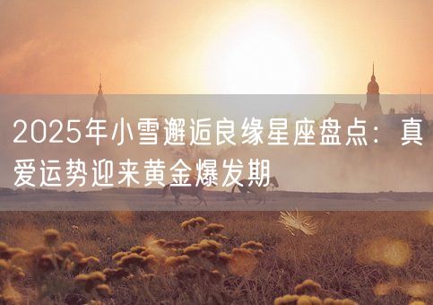 2025年小雪邂逅良缘星座盘点：真爱运势迎来黄金爆发期(图1)