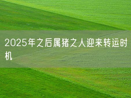 2025年之后属猪之人迎来转运时机(图1)