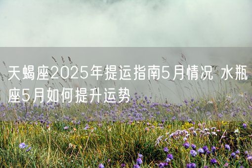 天蝎座2025年提运指南5月情况 水瓶座5月如何提升运势(图1)