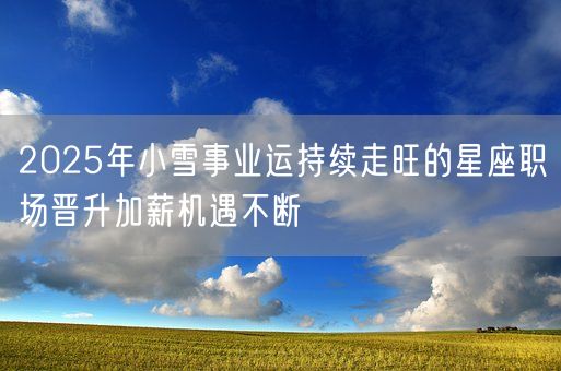 2025年小雪事业运持续走旺的星座职场晋升加薪机遇不断(图1)