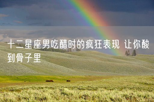 十二星座男吃醋时的疯狂表现 让你酸到骨子里(图1)