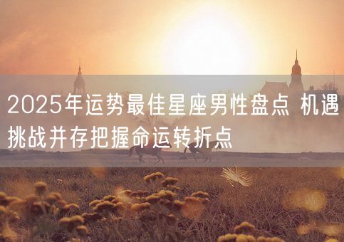 2025年运势最佳星座男性盘点 机遇挑战并存把握命运转折点(图1)