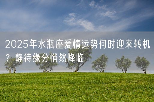 2025年水瓶座爱情运势何时迎来转机？静待缘分悄然降临(图1)