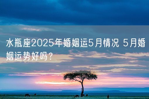 水瓶座2025年婚姻运5月情况 5月婚姻运势好吗？(图1)