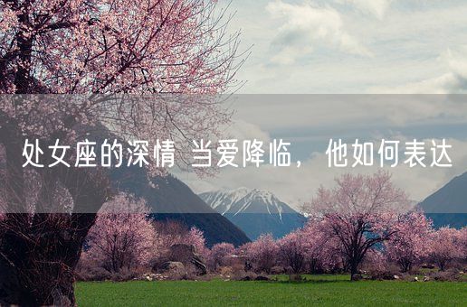 处女座的深情 当爱降临，他如何表达(图1)