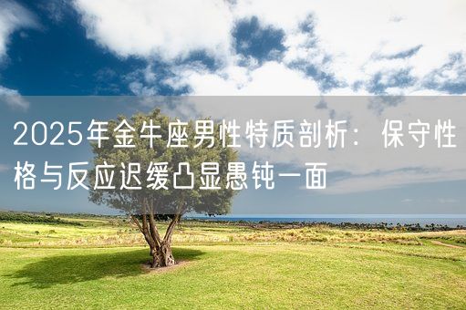 2025年金牛座男性特质剖析：保守性格与反应迟缓凸显愚钝一面(图1)
