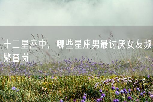 十二星座中，哪些星座男最讨厌女友频繁查岗(图1)