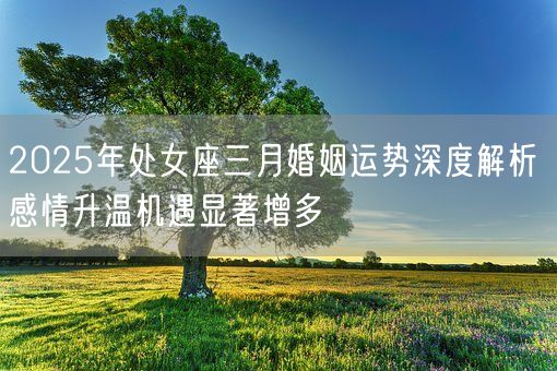 2025年处女座三月婚姻运势深度解析 感情升温机遇显著增多(图1)