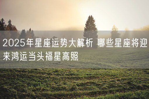 2025年星座运势大解析 哪些星座将迎来鸿运当头福星高照(图1)