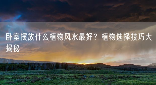 卧室摆放什么植物风水最好？植物选择技巧大揭秘(图1)
