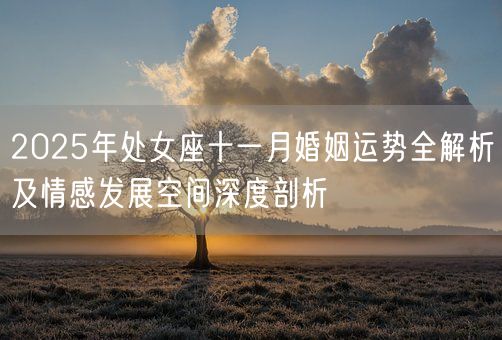 2025年处女座十一月婚姻运势全解析及情感发展空间深度剖析(图1)