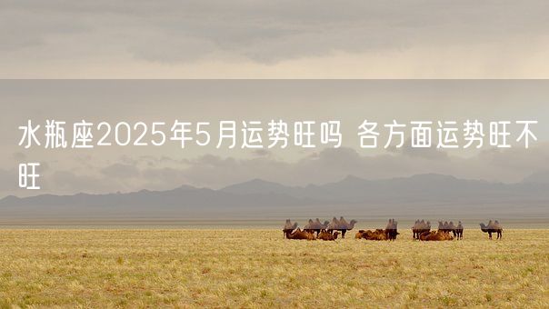 水瓶座2025年5月运势旺吗 各方面运势旺不旺(图1)