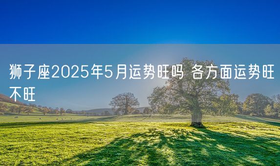 狮子座2025年5月运势旺吗 各方面运势旺不旺(图1)
