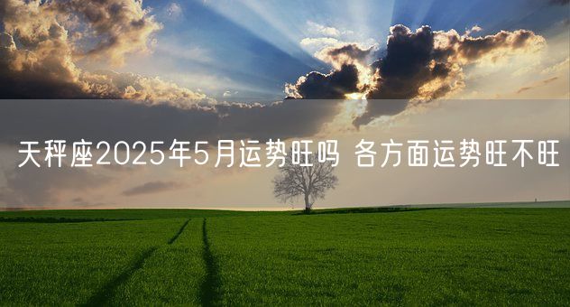 天秤座2025年5月运势旺吗 各方面运势旺不旺(图1)