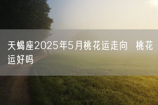 天蝎座2025年5月桃花运走向  桃花运好吗(图1)