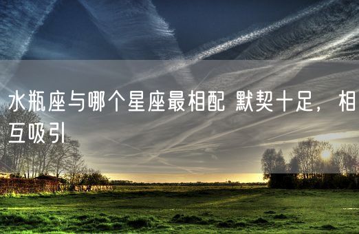 水瓶座与哪个星座最相配 默契十足，相互吸引(图1)