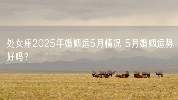 处女座2025年婚姻运5月情况 5月婚姻运势好吗？(图1)