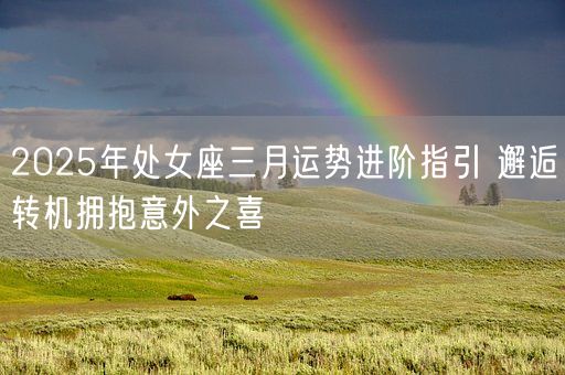 2025年处女座三月运势进阶指引 邂逅转机拥抱意外之喜(图1)