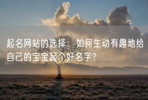 起名网站的选择：如何生动有趣地给自己的宝宝起个好名字？(图1)