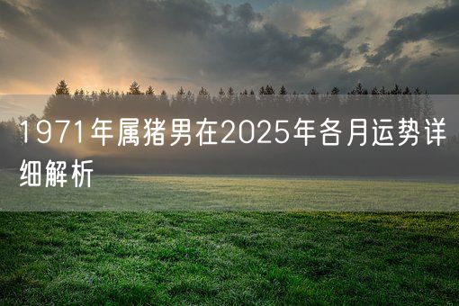 1971年属猪男在2025年各月运势详细解析(图1)