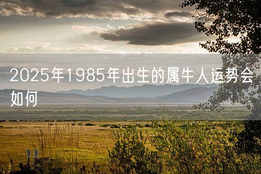 2025年1985年出生的属牛人运势会如何(图1)