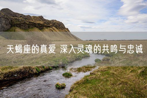 天蝎座的真爱 深入灵魂的共鸣与忠诚(图1)