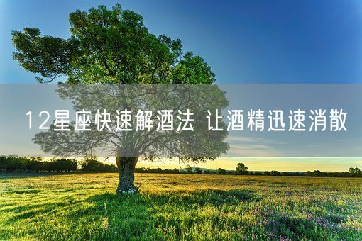12星座快速解酒法 让酒精迅速消散(图1)
