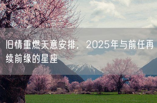 旧情重燃天意安排，2025年与前任再续前缘的星座(图1)