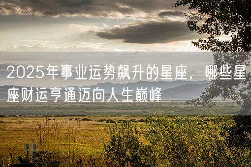 2025年事业运势飙升的星座，哪些星座财运亨通迈向人生巅峰(图1)