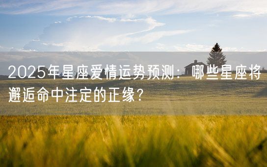 2025年星座爱情运势预测：哪些星座将邂逅命中注定的正缘？(图1)