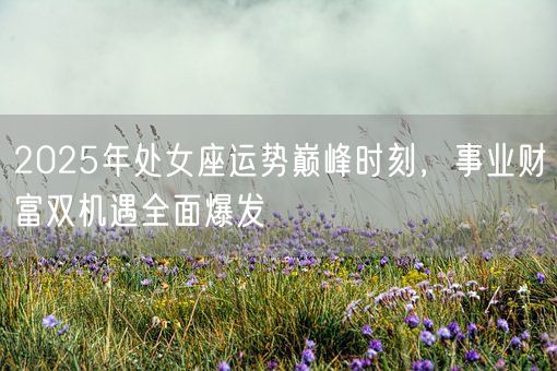 2025年处女座运势巅峰时刻，事业财富双机遇全面爆发(图1)