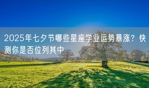 2025年七夕节哪些星座学业运势暴涨？快测你是否位列其中(图1)