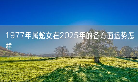 1977年属蛇女在2025年的各方面运势怎样(图1)