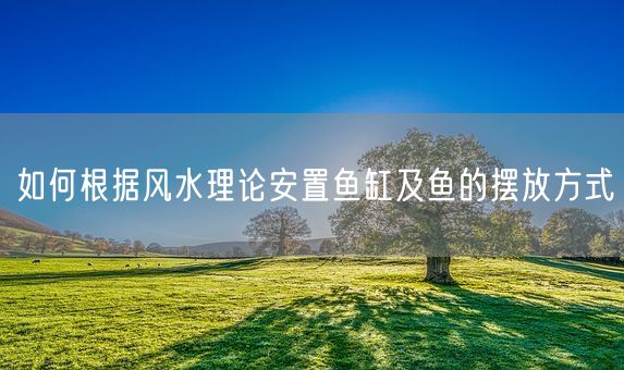 如何根据风水理论安置鱼缸及鱼的摆放方式(图1)