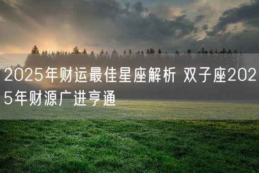 2025年财运最佳星座解析 双子座2025年财源广进亨通(图1)