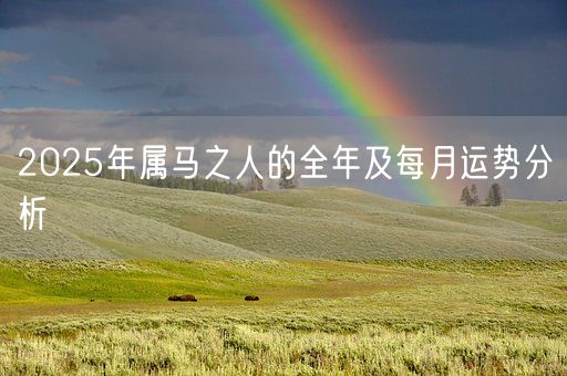 2025年属马之人的全年及每月运势分析(图1)