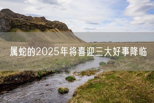 属蛇的2025年将喜迎三大好事降临(图1)