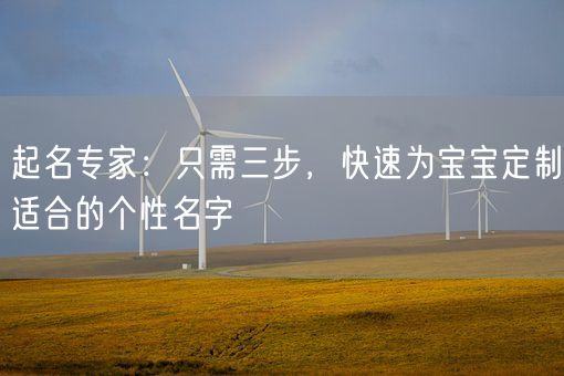 起名专家：只需三步，快速为宝宝定制适合的个性名字(图1)