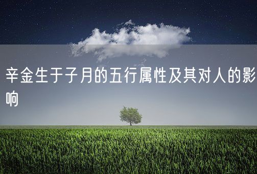 辛金生于子月的五行属性及其对人的影响(图1)