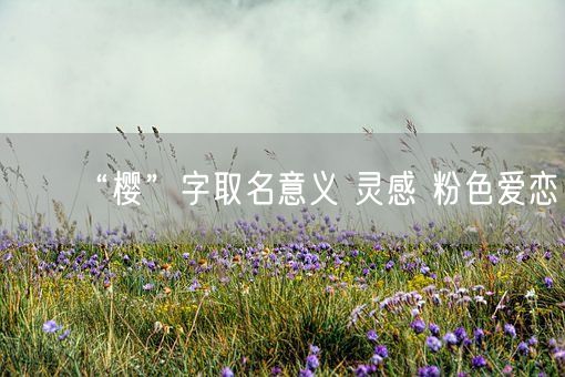 “樱”字取名意义 灵感 粉色爱恋(图1)