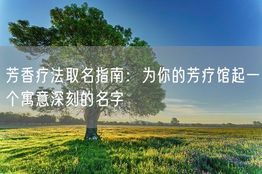 芳香疗法取名指南：为你的芳疗馆起一个寓意深刻的名字(图1)