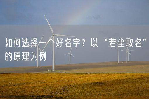 如何选择一个好名字？以“若尘取名”的原理为例(图1)