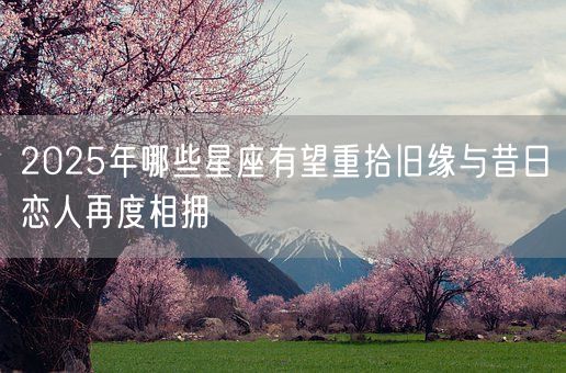 2025年哪些星座有望重拾旧缘与昔日恋人再度相拥(图1)