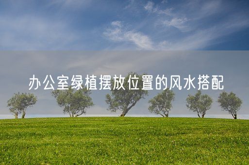 办公室绿植摆放位置的风水搭配(图1)